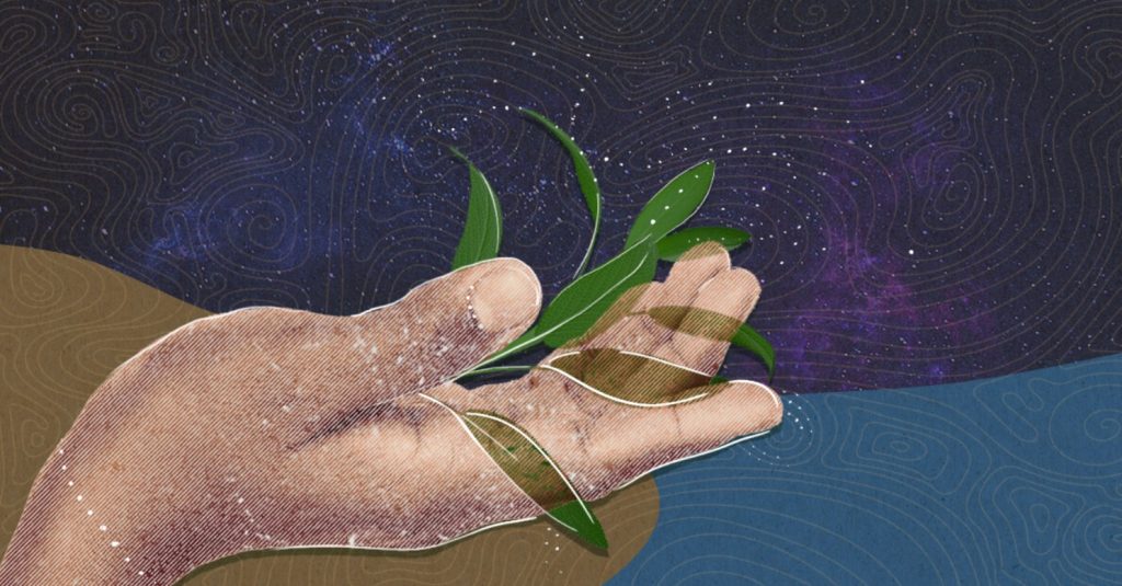 Illustration of Indigenous land stewardship and intergenerational knowledge sharing